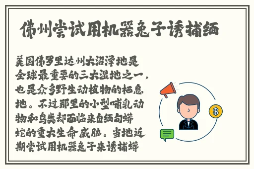 无限资源